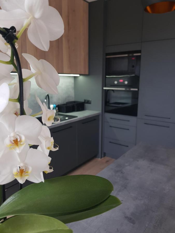 Luksusowe Apartamenty Na Torunskiej Kwidzyn Esterno foto
